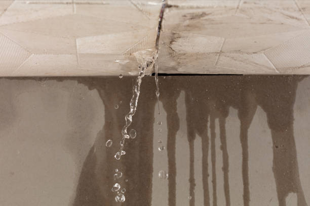 Professional Burst Pipe Cleanup technician working in Forest Lake, IL